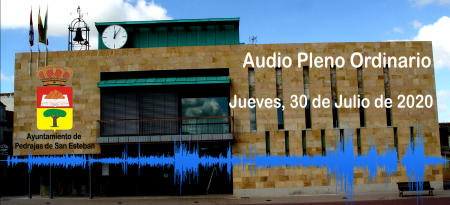 Imatge Jueves, 30 de Julio de 2020 - Audio Pleno Ordinario