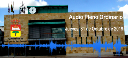 Imatge Jueves, 31 de Octubre de 2019 - Audio Pleno Ordinario