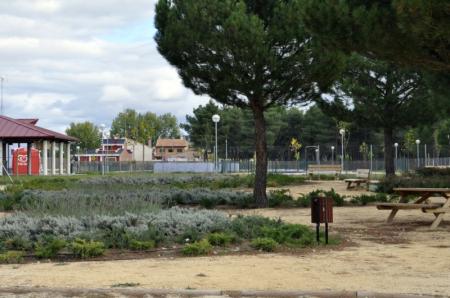 Imagen11. Parque Medioambiental y Parque Jardines de Castilla